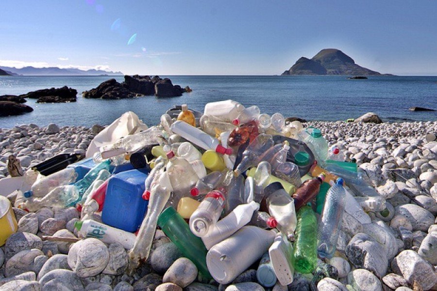 Aplikasi Digital Dapat Mengakhiri Polusi Plastik di Lautan