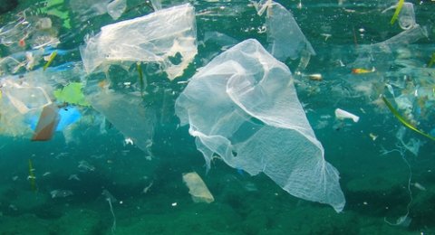 Aplikasi Digital Dapat Mengakhiri Polusi Plastik di Lautan
